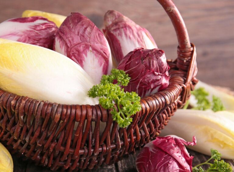 basket with raw chicory